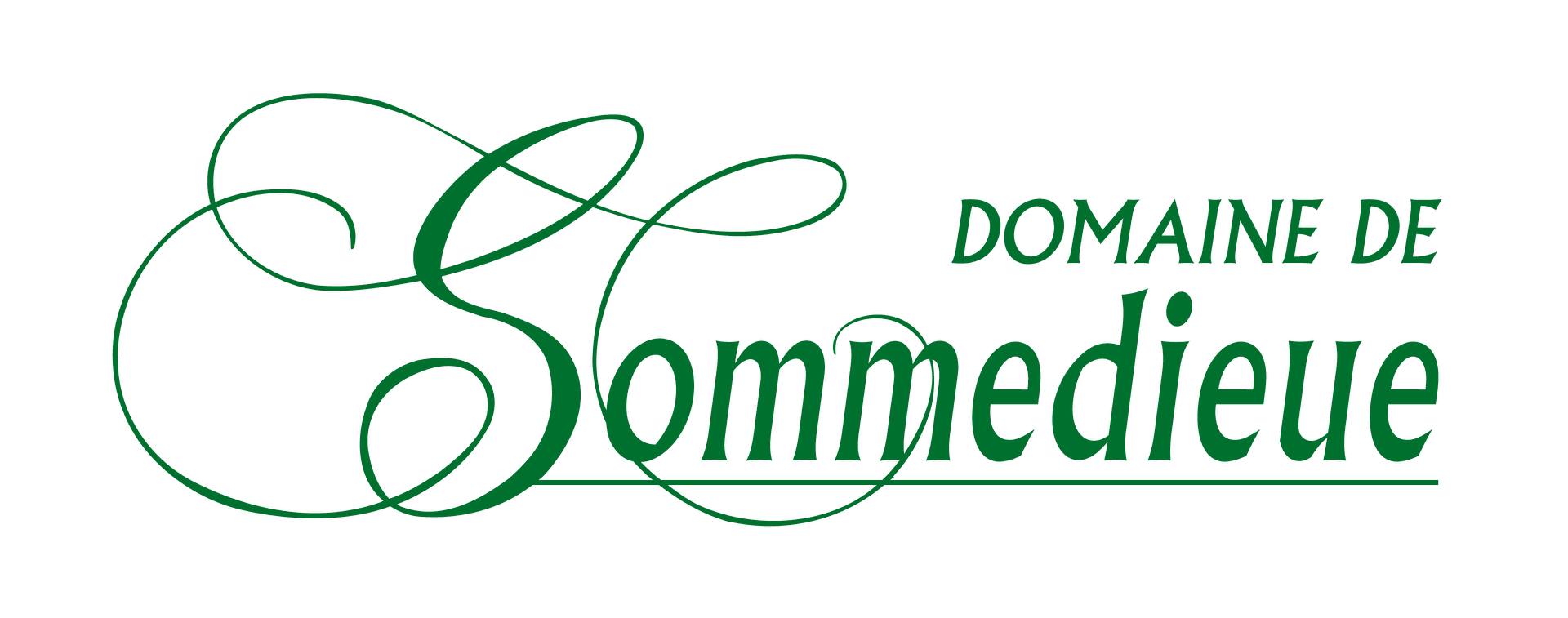 reset-password-fly-in-sommedieue